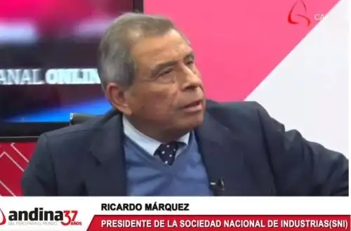 Presidente de la SNI, Ricardo Márquez. Foto: Andina.