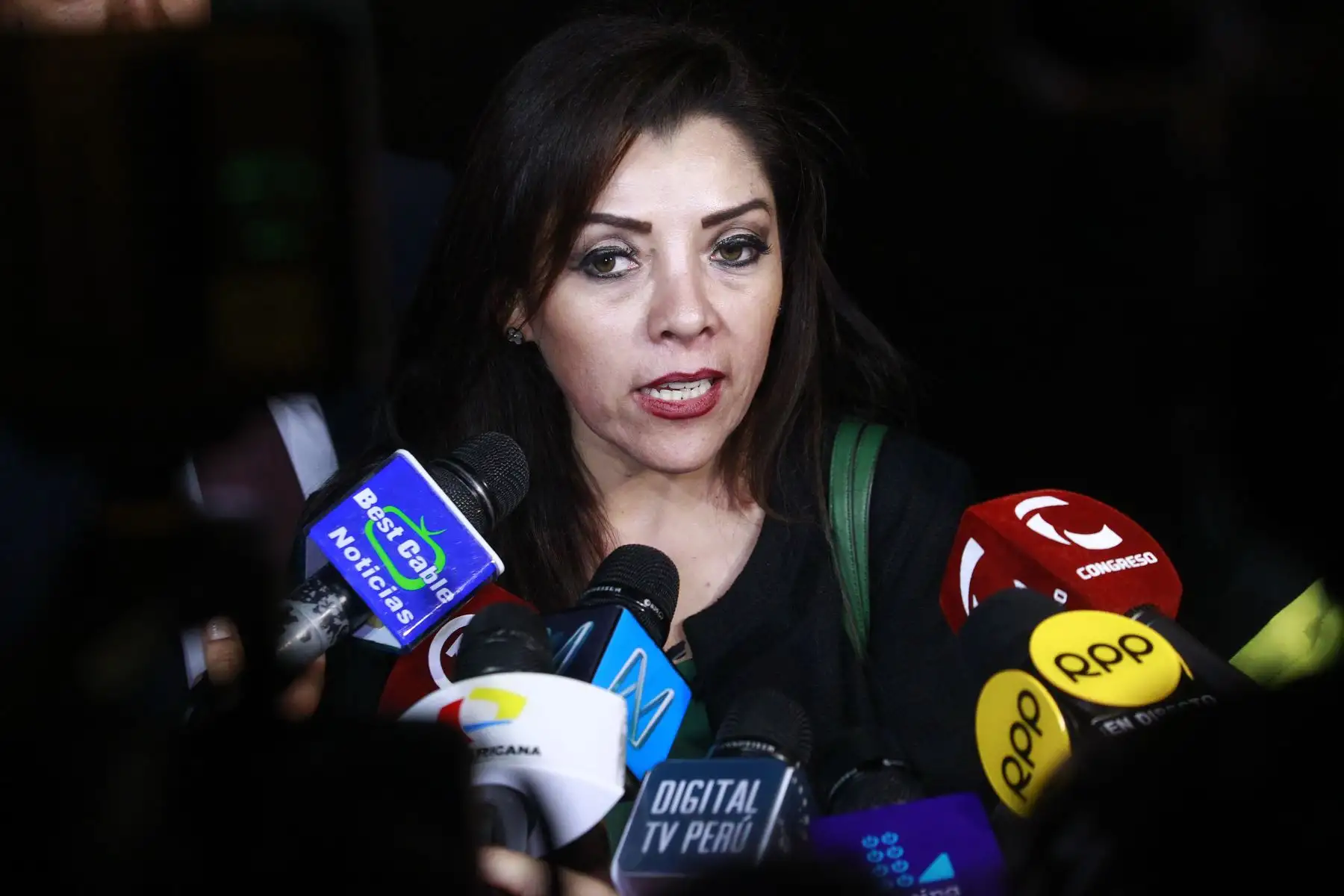 Congresista Alejandra Aramayo , vocera de la bancada de Fuerza Popular a su salida de palacio de gobierno tras reunirse con el presidente de la República Martín Vizcarra. 
Foto: ANDINA/Eddy Ramos
