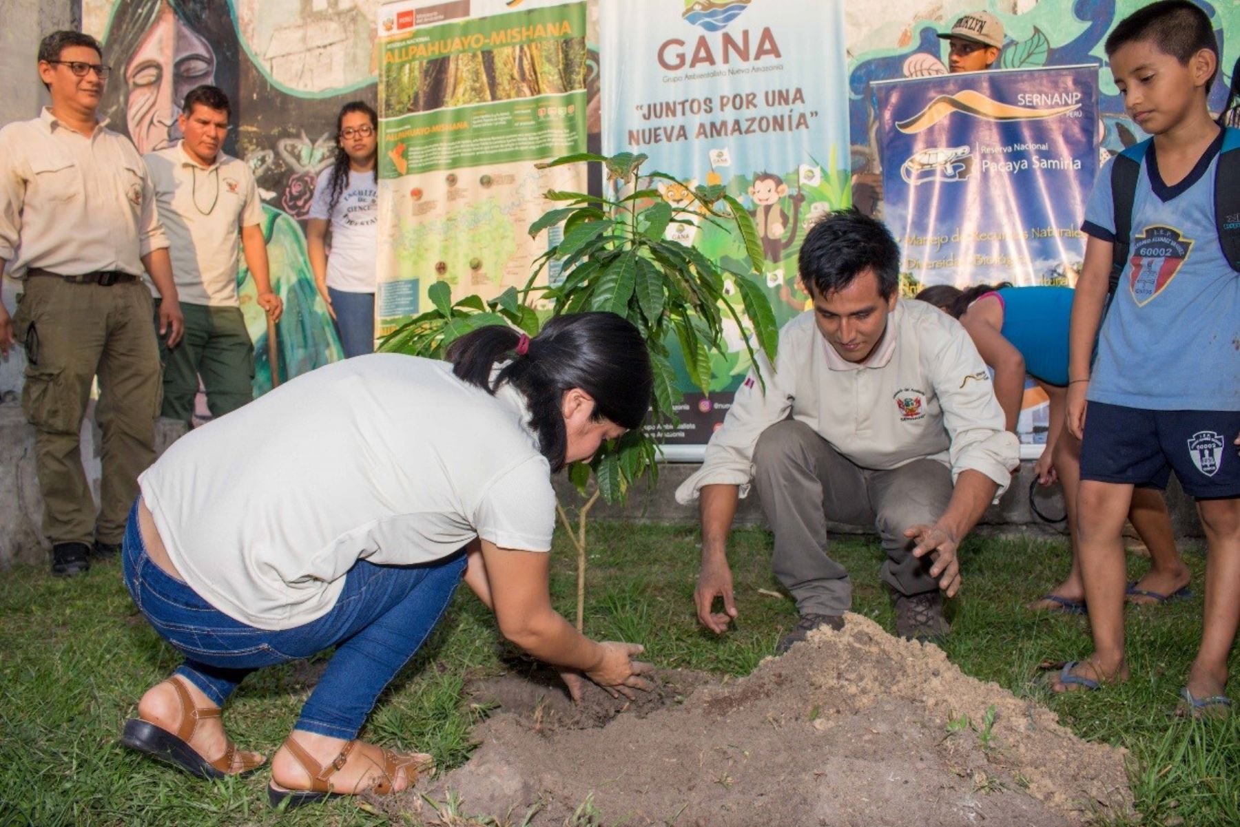 Reforestan la ciudad de Iquitos con Ã¡rboles nativos de la AmazonÃ­a. ANDINA/DifusiÃ³n