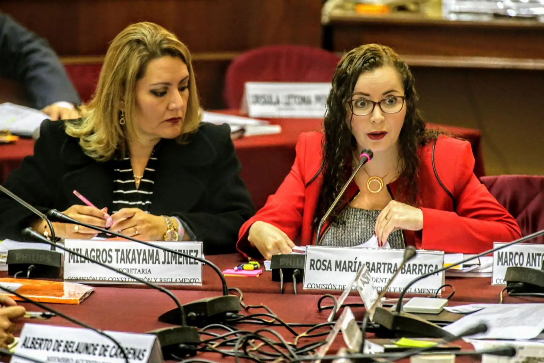 Presidenta de la comisión de Constitución, Rosa María Bartra, dirige sesión en el Congreso de la República. Foto: ANDINA/Luis Iparraguirre