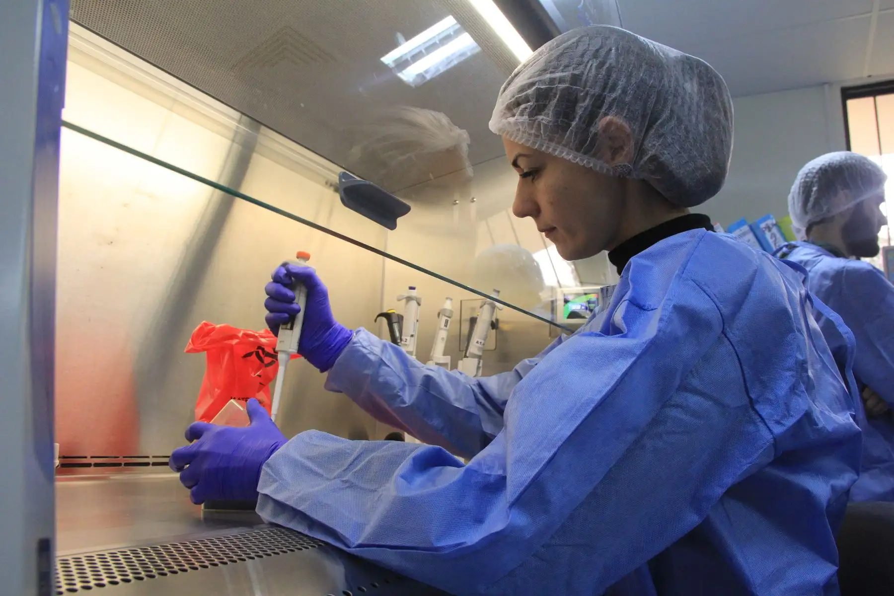 Alejandra Rojas, del Instituto de Investigaciones en Ciencias de la Salud de la Universidad Nacional de Asunción, realizando procedimiento de diagnóstico molecular en una cabina de bioseguridad.
Foto: ANDINA/INS
