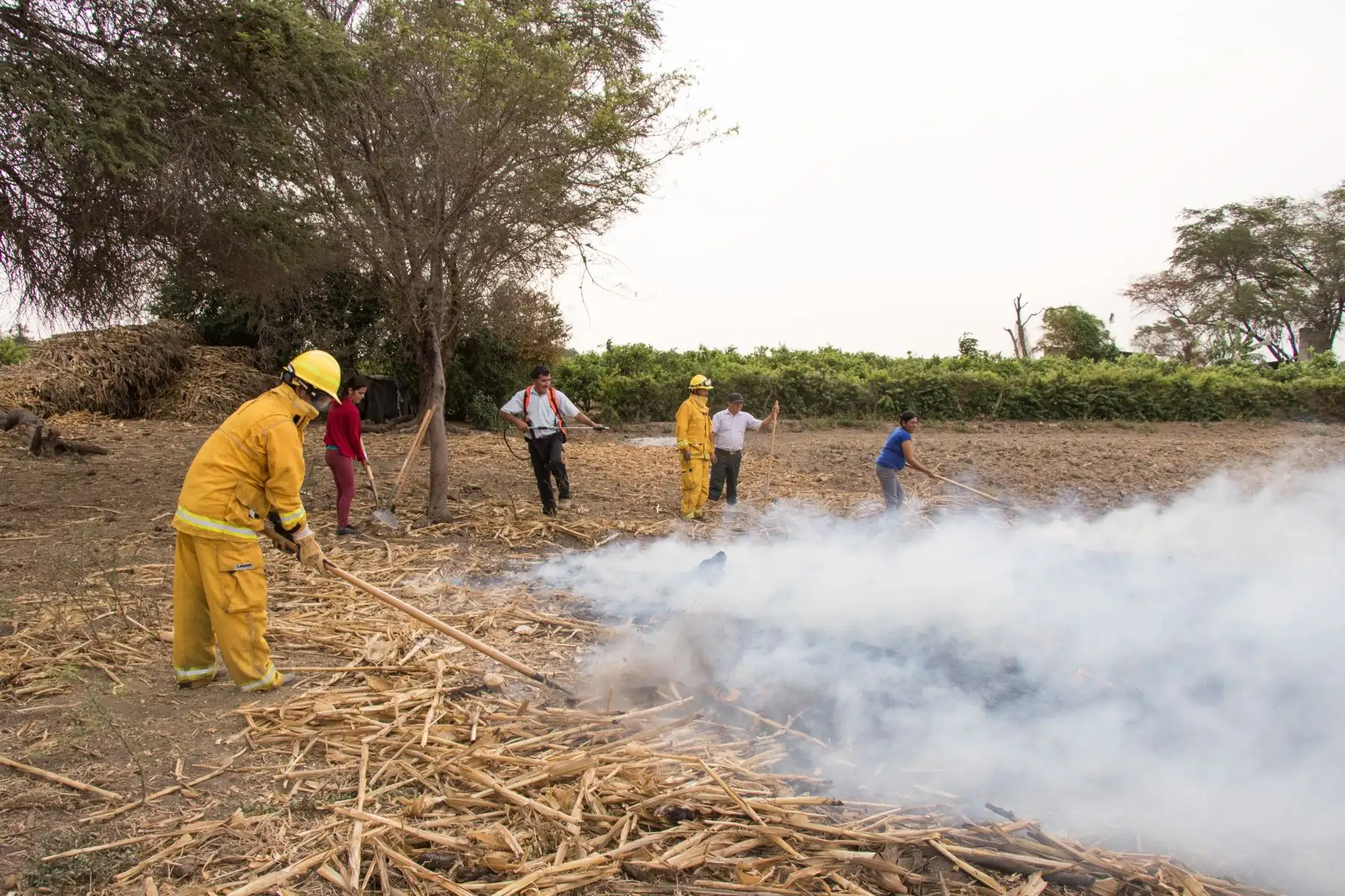 Santuario Histórico Bosque de Pómac tiene dos nuevas brigadas comunales para la atención de incendios forestales dentro y fuera del área natural protegida.