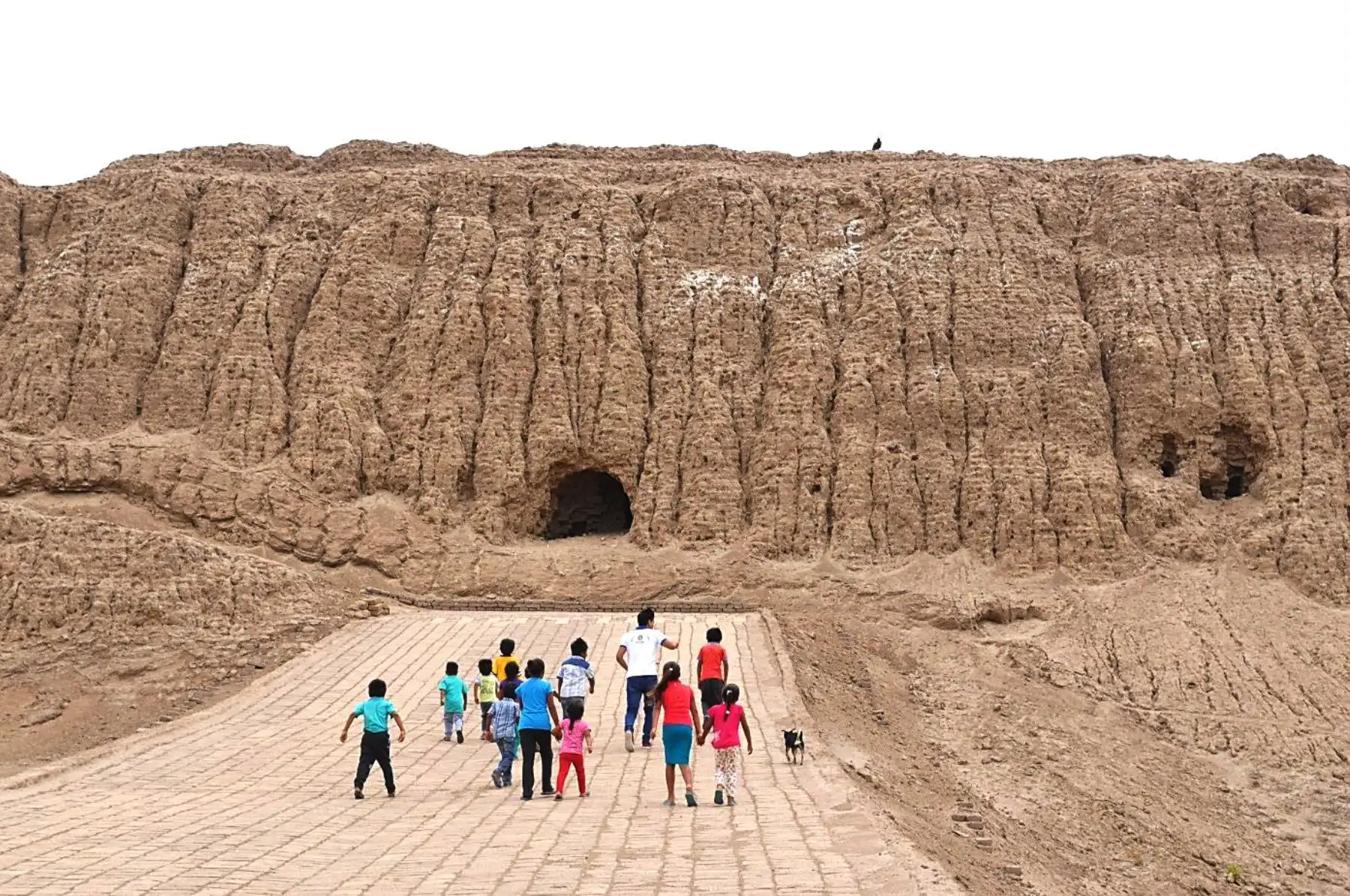El Museo de Sitio Chotuna-Chornancap celebra hoy su noveno aniversario con los niños, estudiantes y la comunidad aledaña, a los que les brindará un programa de actividades que contará con el apoyo de instituciones y personas aliadas en la ardua tarea de la  preservación y conservación del patrimonio cultural. Foto: ANDINA/Difusión