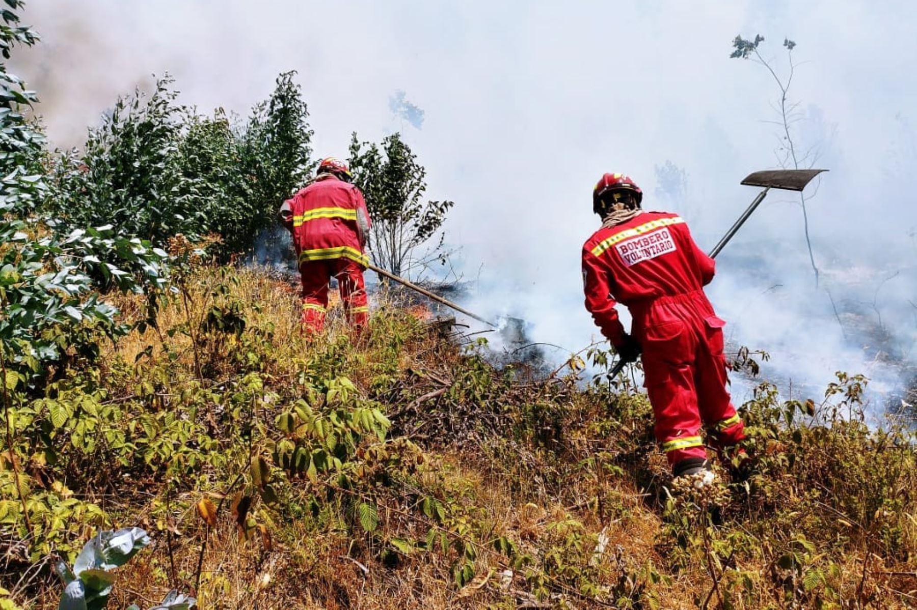 Provincias de Cajabamba, Celendín, Hualgayoc, San Marcos y Cajamarca fueron afectadas por incendios forestales.