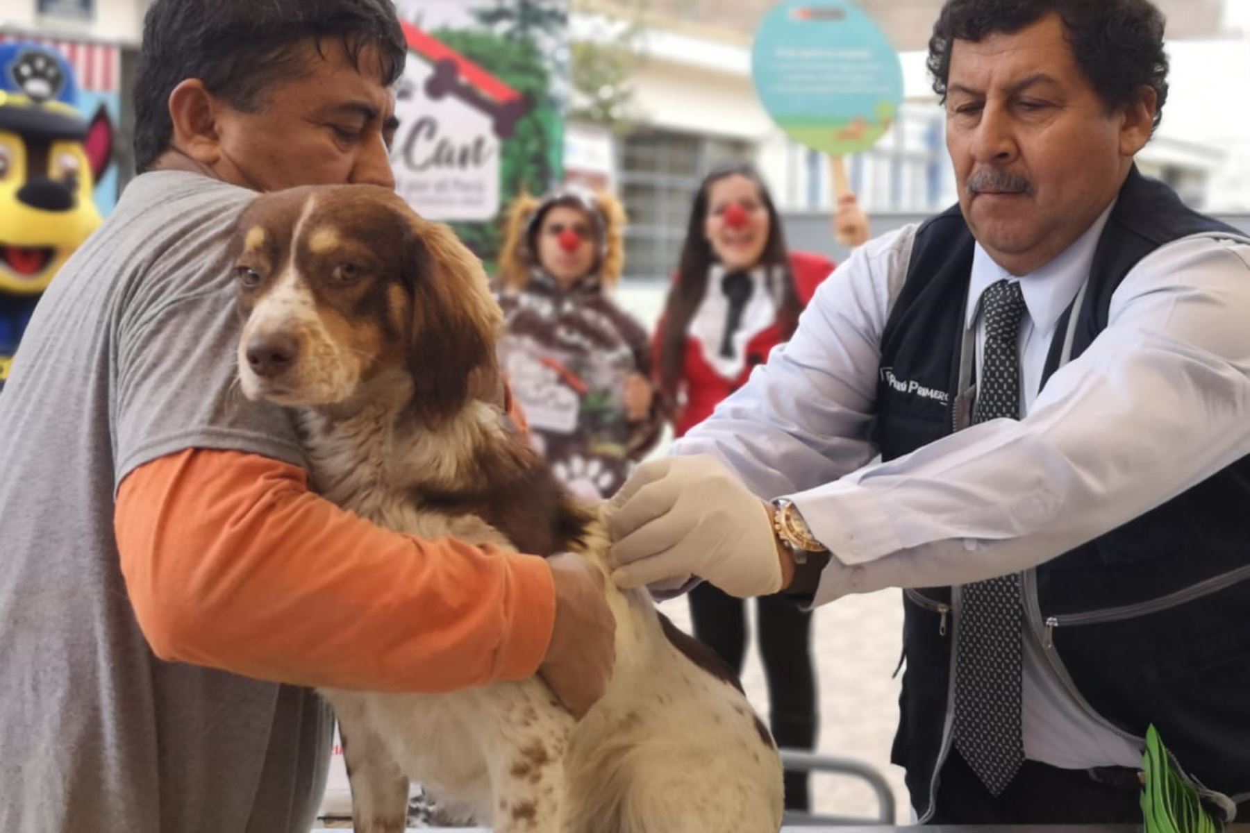 Un millón 183,427 canes de ocho regiones y en Lima Metropolitana fueron vacunados gratuitamente contra la rabia por el Ministerio de Salud.