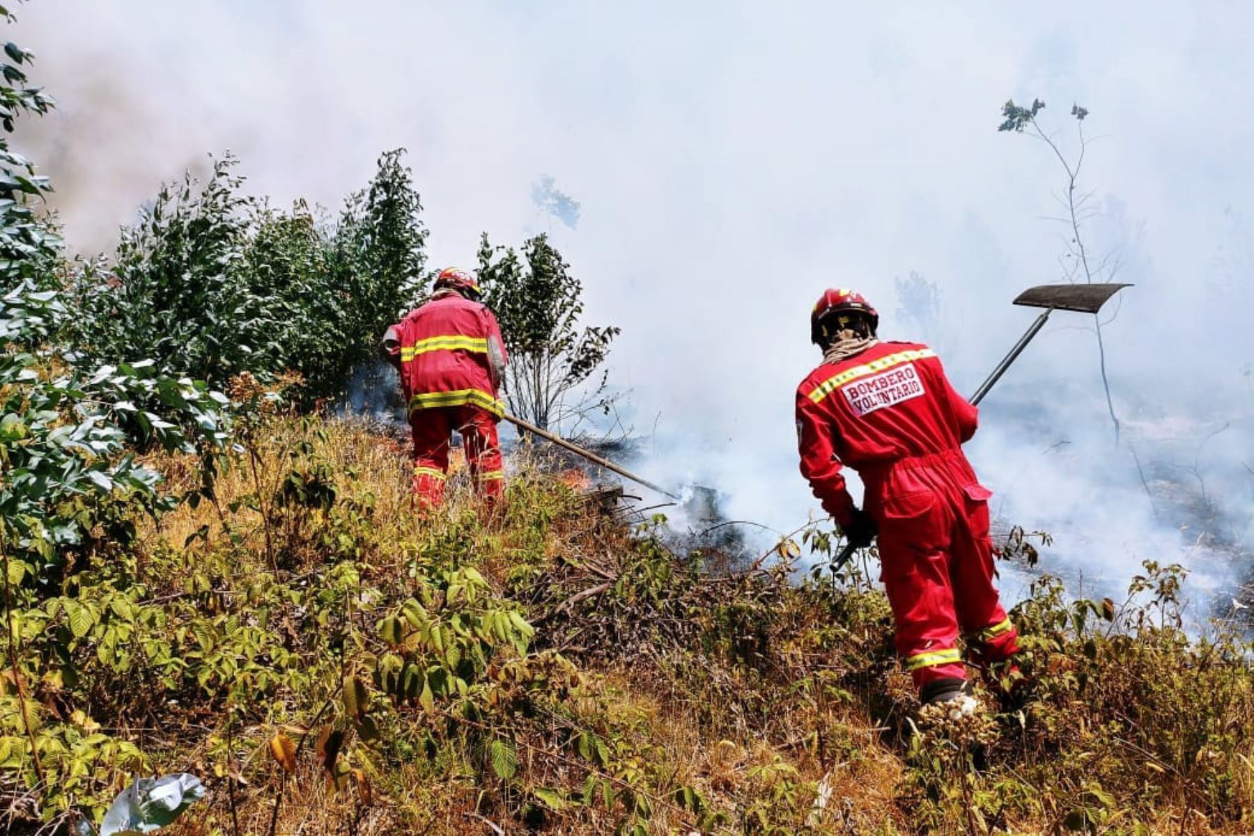 Plataforma de Defensa Civil controla incendios forestales en Cajamarca. ANDINA