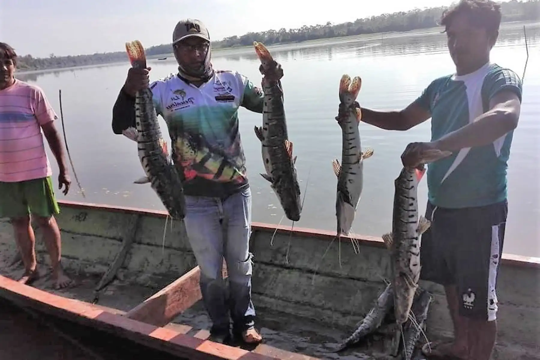 Promueven el cultivo de peces amazónicos en lagunas de San Martín. ANDINA