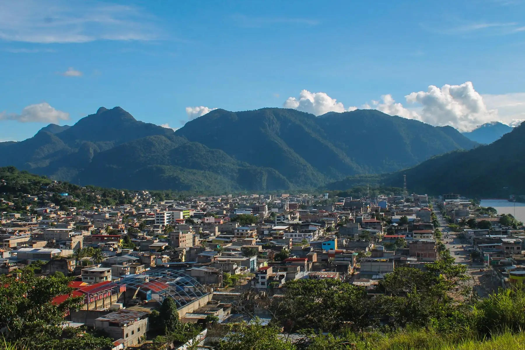 La biodiversidad del Perú está nuevamente en los ojos del mundo, ya que el Parque Nacional Tingo María se convirtió en la primera área protegida por el Estado en ser reconocida como “Área importante para la conservación de murciélagos”. Foto: ANDINA/archivo