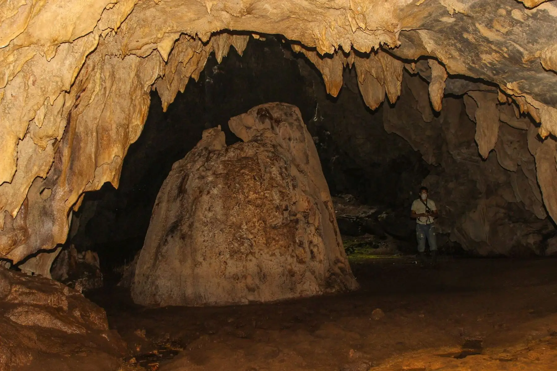 El hábitat natural de esta especie, al interior del área protegida, lo conforman cuevas de piedra caliza en donde podemos encontrar murciélagos de los géneros Artibeus y Carollia, quienes son importantes dispersores de semillas sin los cuales muchas especies de plantas  no tendrían como reproducirse, además que colaboran con la restauración de áreas que ya no son usadas para la agricultura. Foto: ANDINA/Sernanp