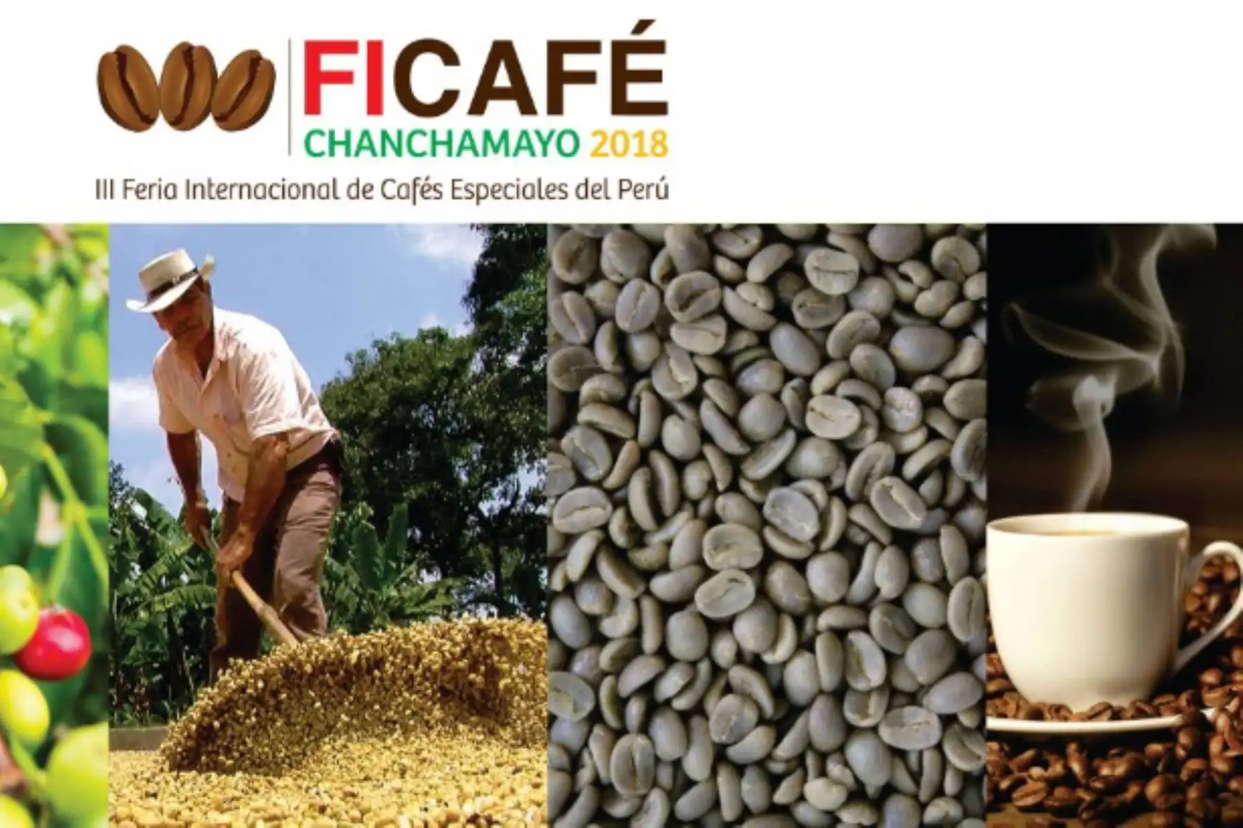 Compradores de India y Rusia muestran interés en cafés especiales que se ofertaron en Ficafé. ANDINA/Difusión