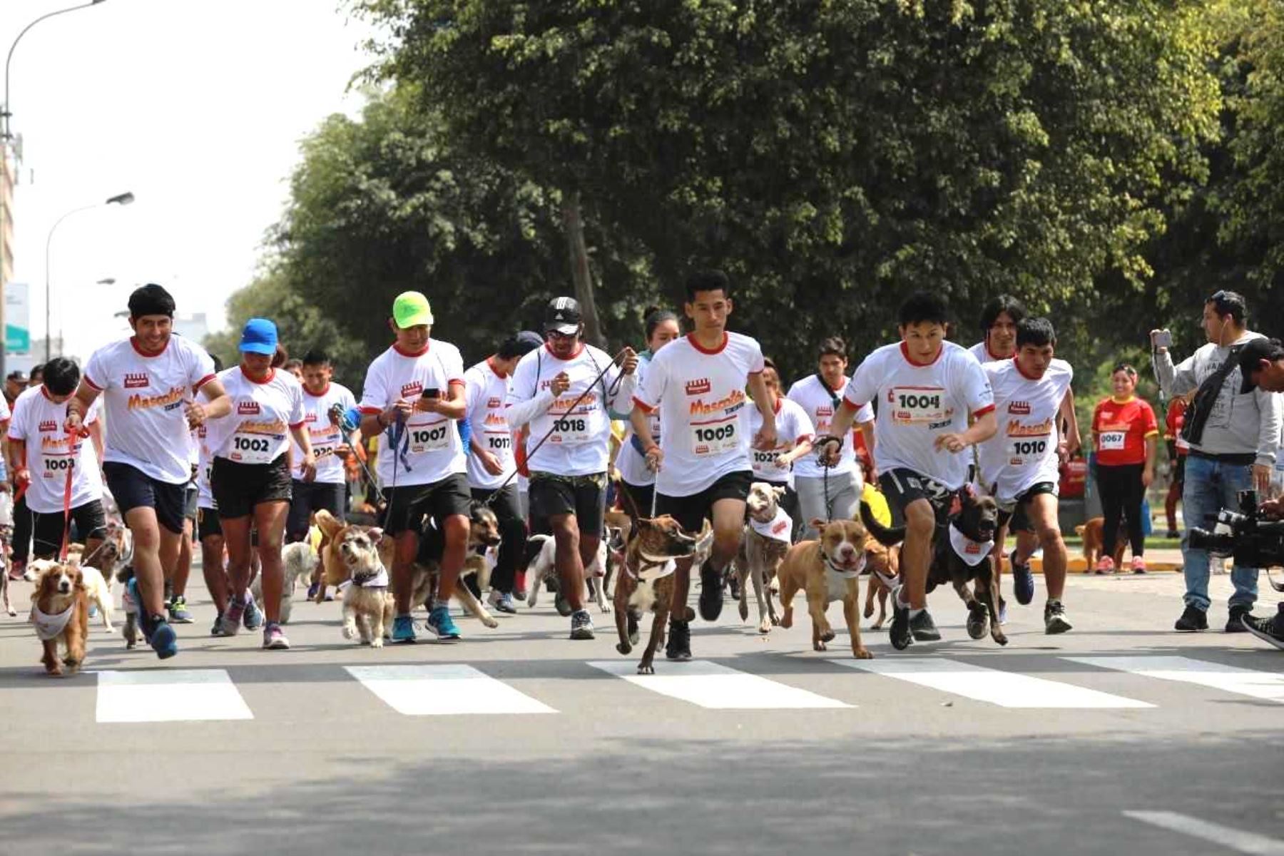 Vecinos de Lima podrán participar en gran maratón con sus mascotas. Foto: ANDINA/Difusión.