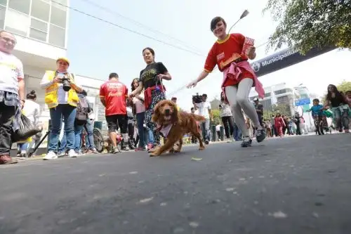 Foto: ANDINA/Difusión