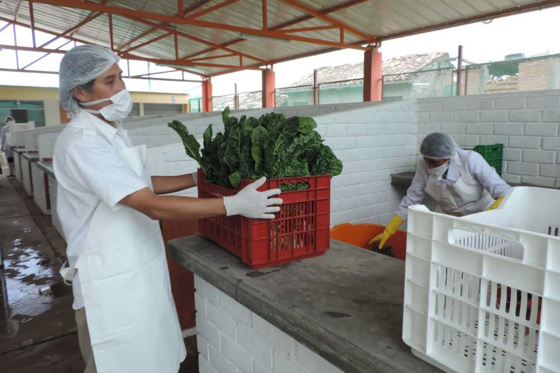 El Programa Nacional de Alimentación Escolar Qali Warma lanzó en el distrito de El Tambo la iniciativa piloto “Escuelas Tambinas Saludables”, a fin de contribuir a una alimentación nutritiva y reducir los índices de anemia en esa localidad de la provincia de Huancayo, en la región Junín.