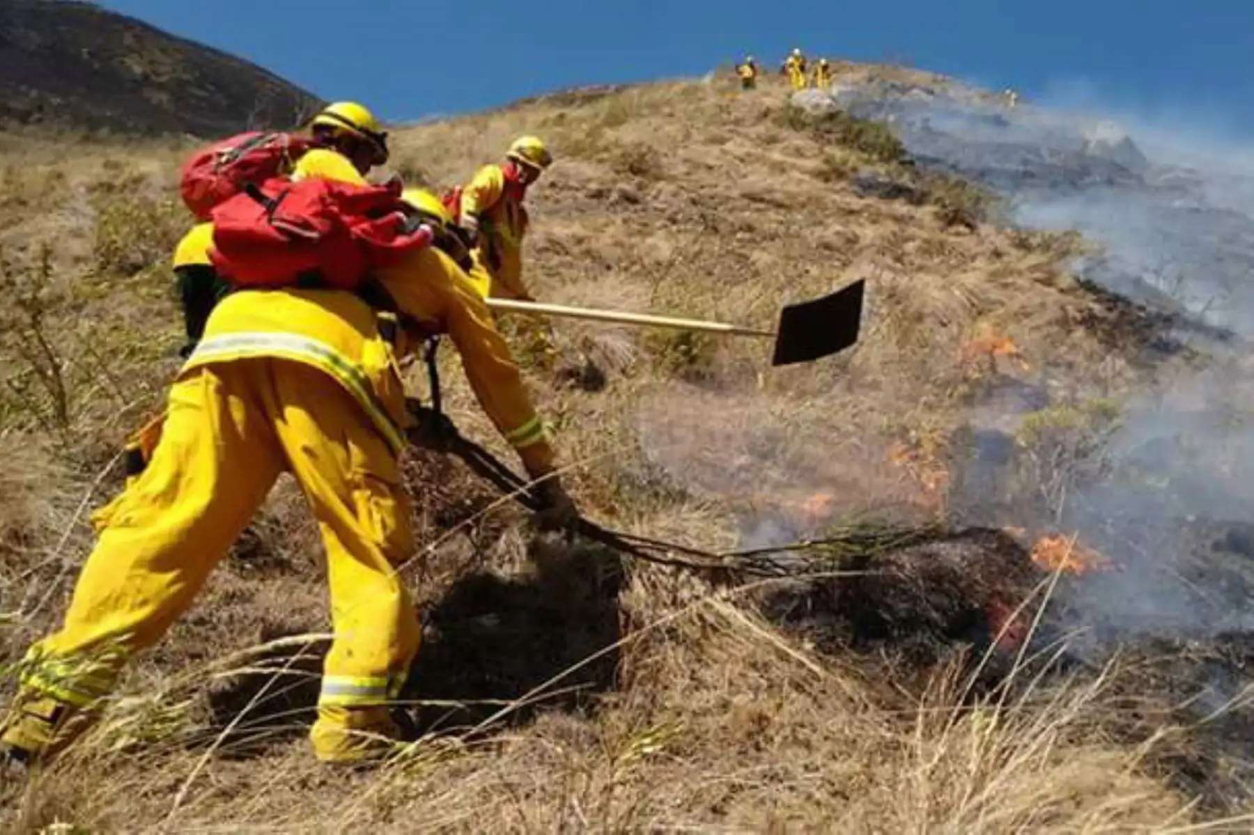 Un incendio se registra en el sector Paleria y Pomac II, en el área del Santuario Histórico Bosque de Pómac, área natural protegida ubicada a 31.5 kilómetros de Chiclayo, en el distrito de Pítipo, provincia de Ferreñafe, región Lambayeque.