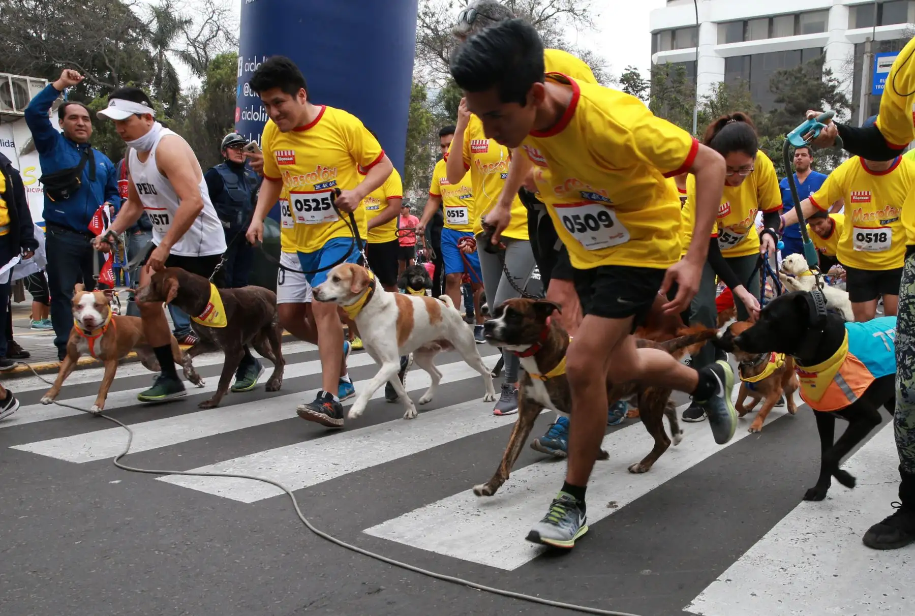 Los vecinos de Lima participaron hoy en la “Mascotón 2018”, con el propósito de promover el estilo de vida saludable a través del ejercicio, así como la interacción entre los ciudadanos y sus animales. Foto: ANDINA/Norman Córdova