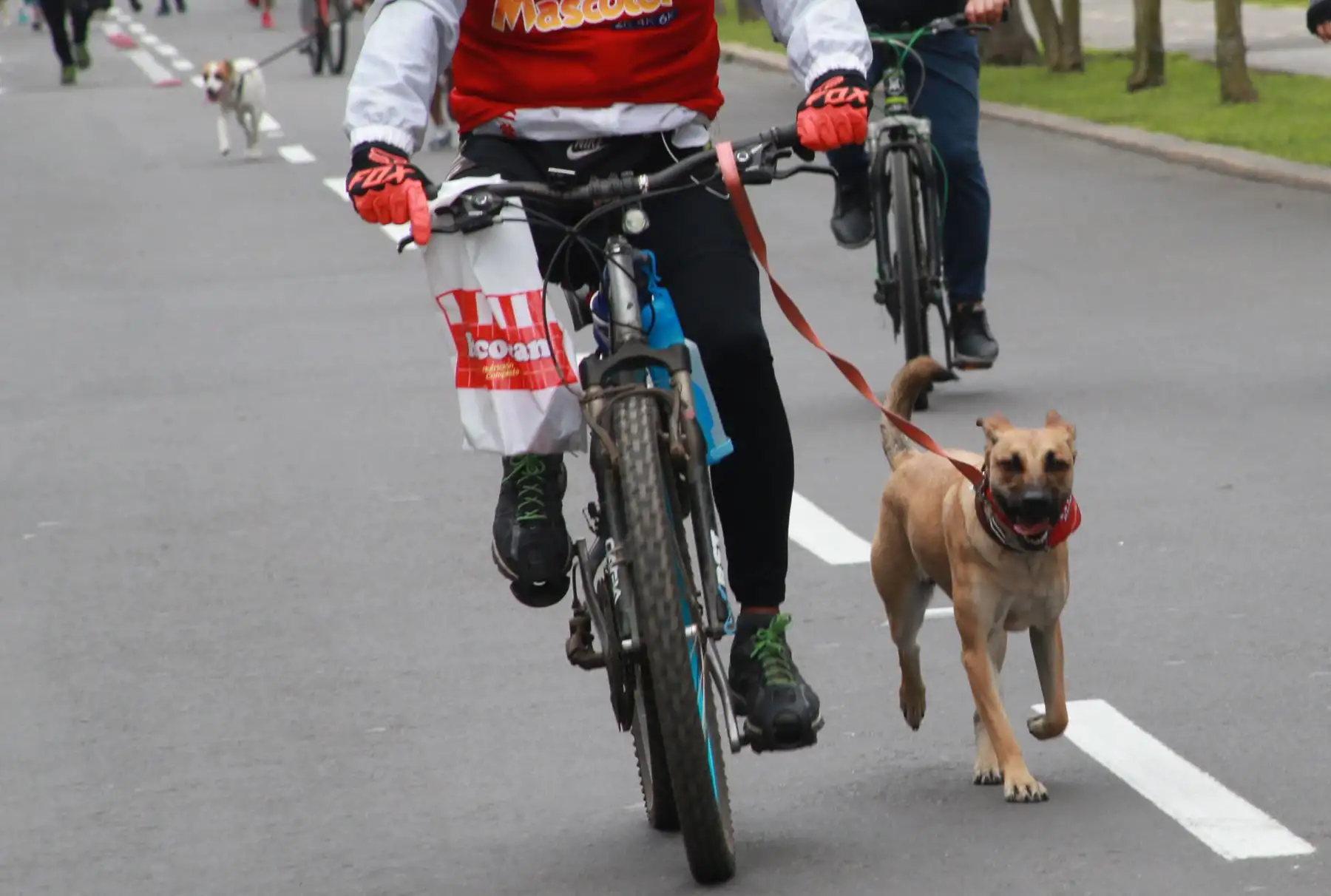 Los vecinos de Lima participaron hoy en la “Mascotón 2018”, con el propósito de promover el estilo de vida saludable a través del ejercicio, así como la interacción entre los ciudadanos y sus animales. Foto: ANDINA/Norman Córdova