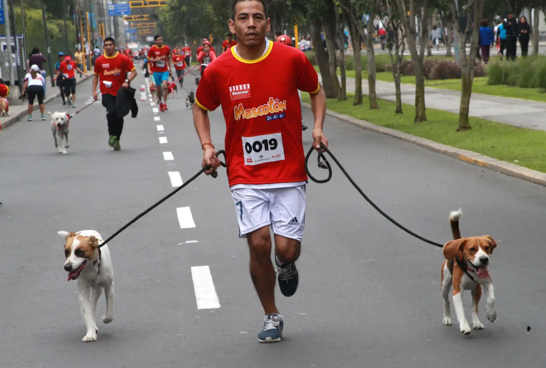 Los vecinos de Lima participaron hoy en la “Mascotón 2018”, con el propósito de promover el estilo de vida saludable a través del ejercicio, así como la interacción entre los ciudadanos y sus animales. Foto: ANDINA/Norman Córdova