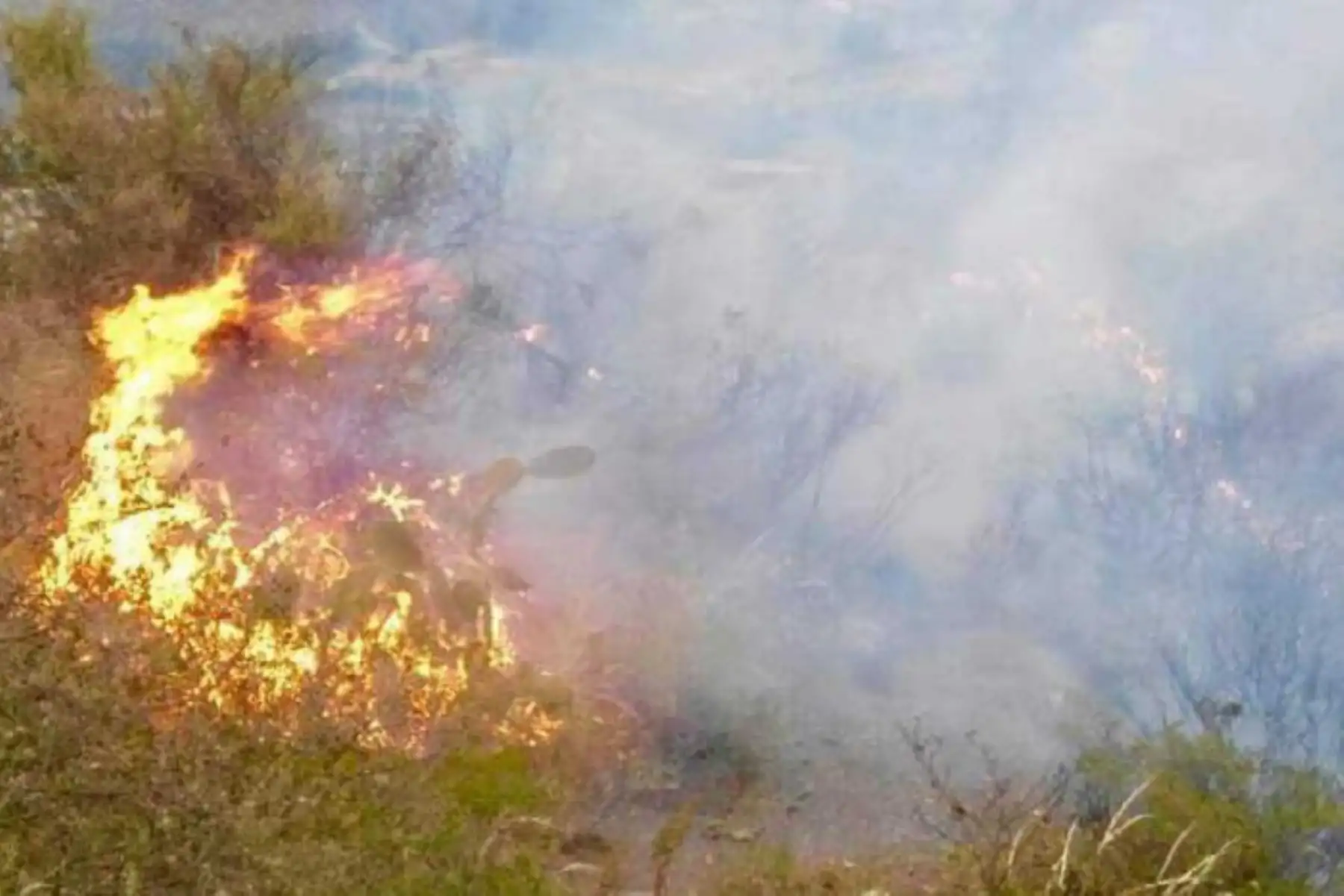 Hasta 30 incendios forestales se han reportado en la región de Áncash