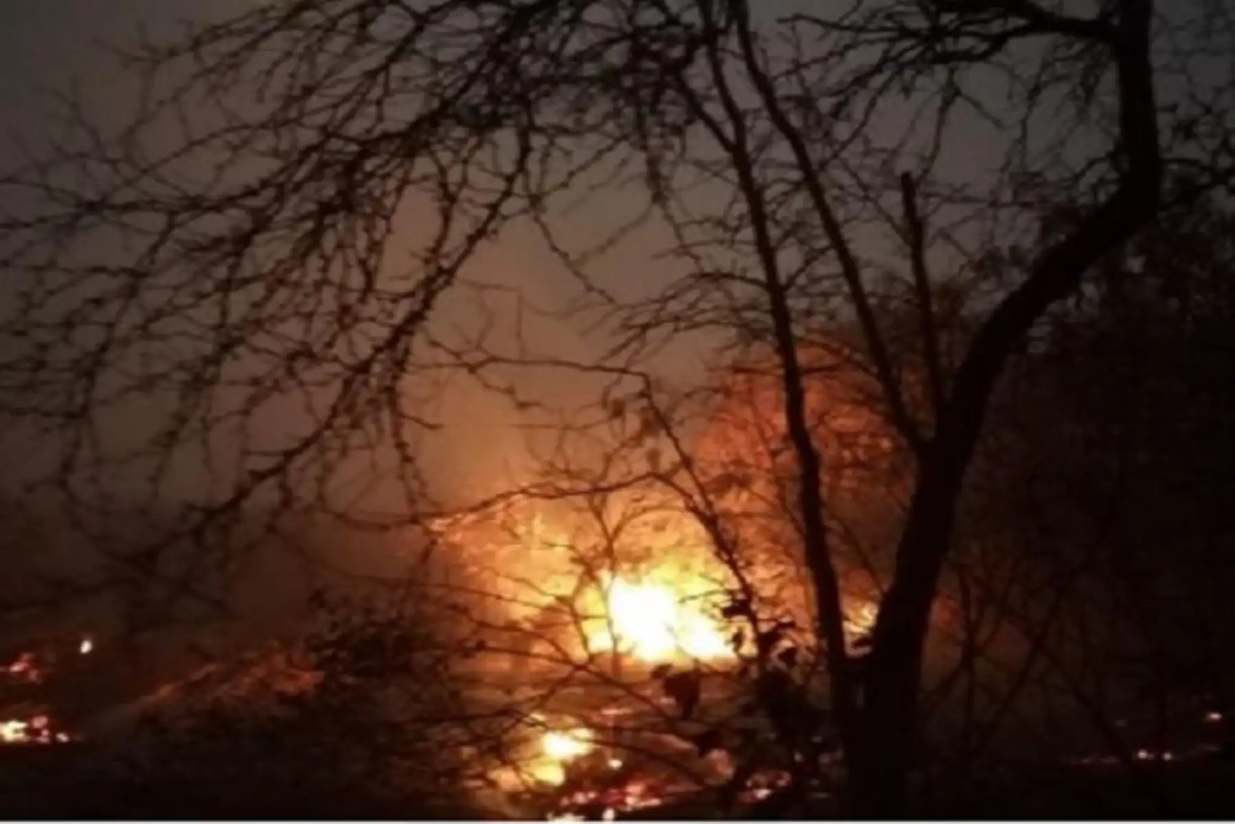Es grave la situación por la que están atravesando las familias y agricultores afectados como consecuencia de los incendios forestales que ha costado vidas humanasANDINA/Difusión