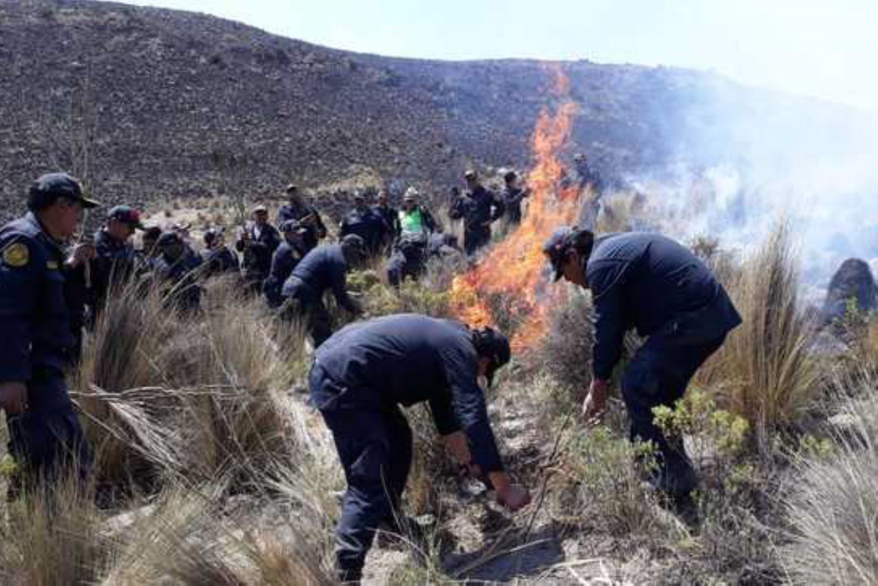 Incendio forestal de grandes proporciones se registró desde la noche del viernes en el distrito de Pocsi, región de Arequipa.