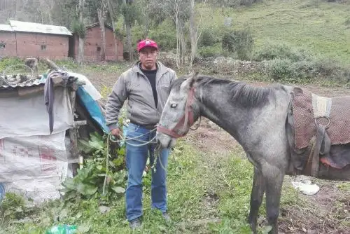 Desconocidos asesinan a candidato a alcaldía de distrito de Huancavelica, Román Diego Ccente.