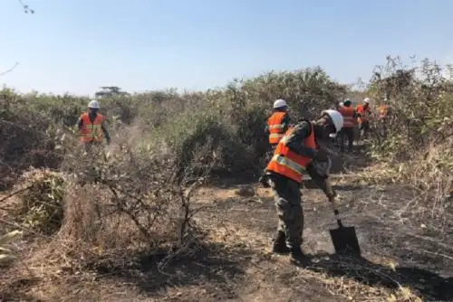Personal de la Compañía de Bomberos Voluntarios Íllimo Nº 149, con apoyo del Batallón de Ingeniería Nº 7 del Cuartel Cáceres del Ejército, reinició esta mañana los trabajos de extinción del incendio forestal que se registra en el distrito de Pítipo, provincia de Ferreñafe, región Lambayeque, informó el Centro de Operaciones de Emergencia Regional (COER).