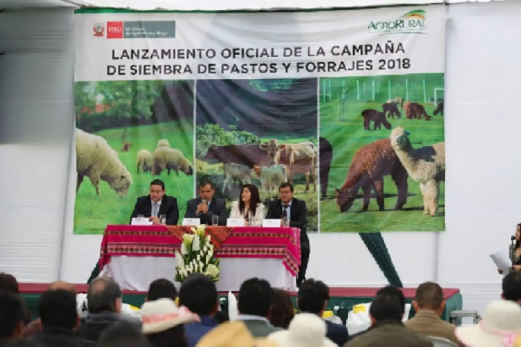 Con una inversión que supera los 30 millones de soles, la meta del Ministerio de Agricultura y Riego (Minagri) para este año es sembrar más de 41,000 hectáreas de pastos cultivados en 335 distritos y 93 provincias de 21 regiones del país, beneficiando a casi 68,000 familias ganaderas, sostuvo el ministro del sector Gustavo Mostajo.