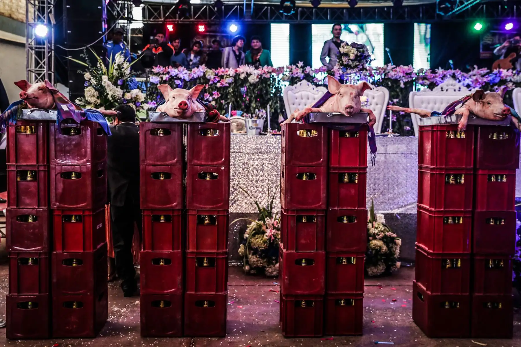 Los platillos regionales, edificios de cajas de cerveza y los mejores grupos en vivo. Foto: ANDINA/Carlos Lezama