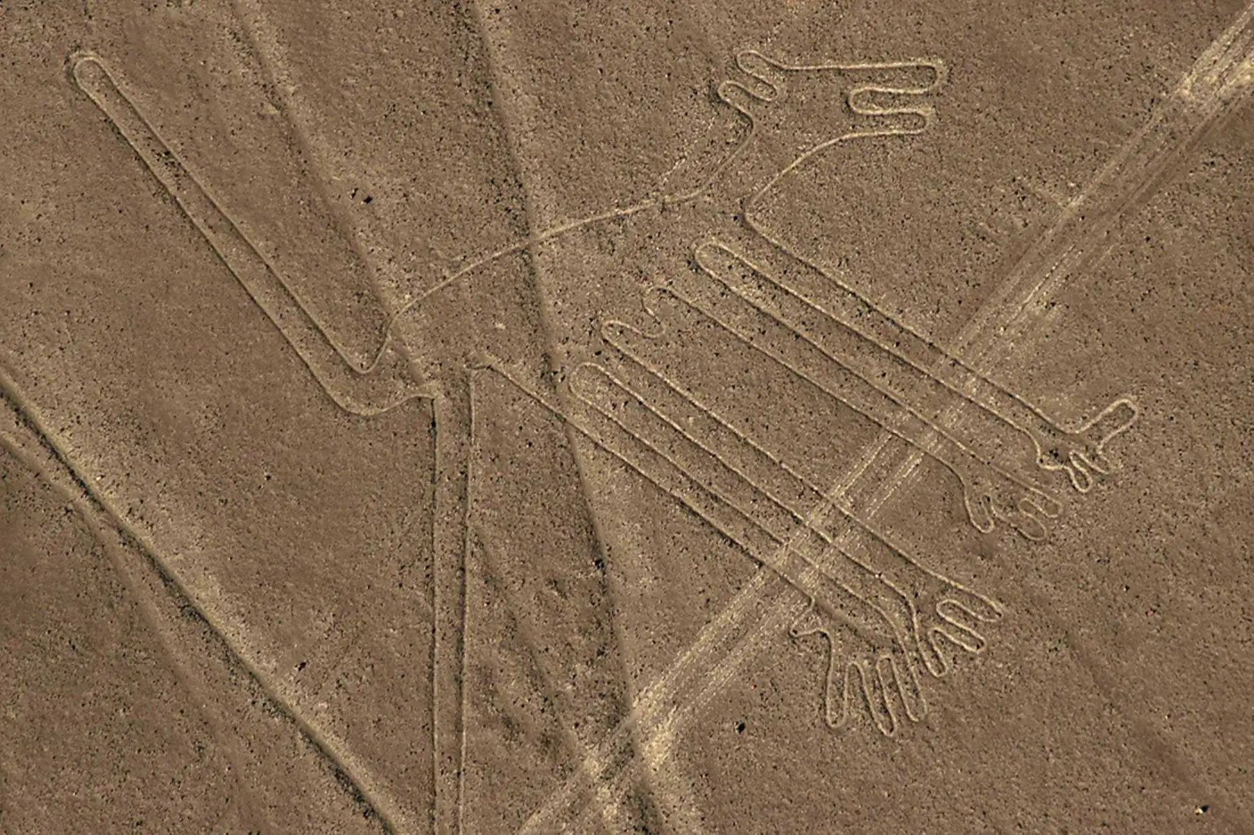Ica, líneas de Nasca. Foto: EFE