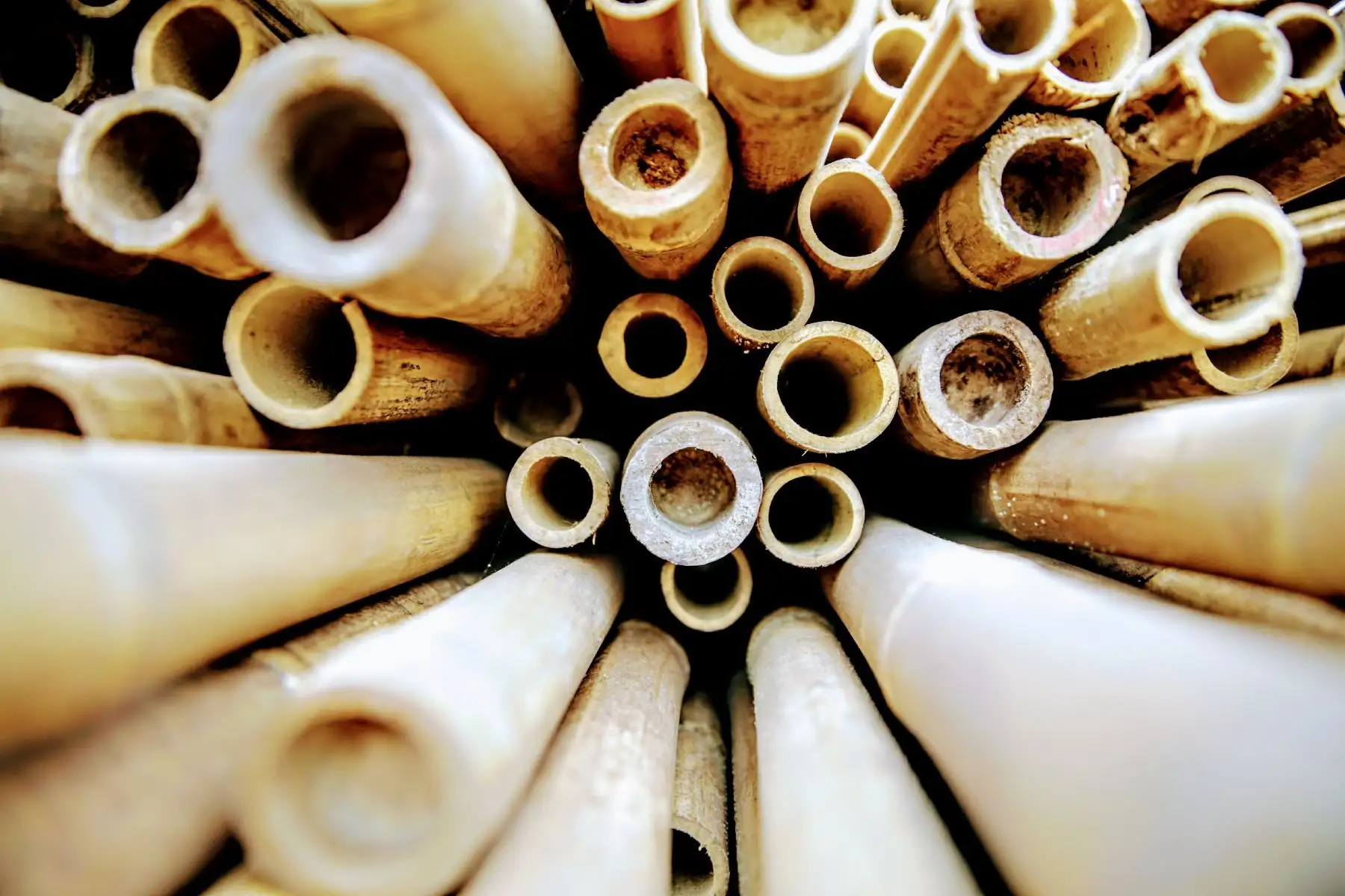La materia prima de las fabricación de las bicicletas es el bambú, al que denominan acero vegetal. Foto: ANDINA/Luis Iparraguirre
