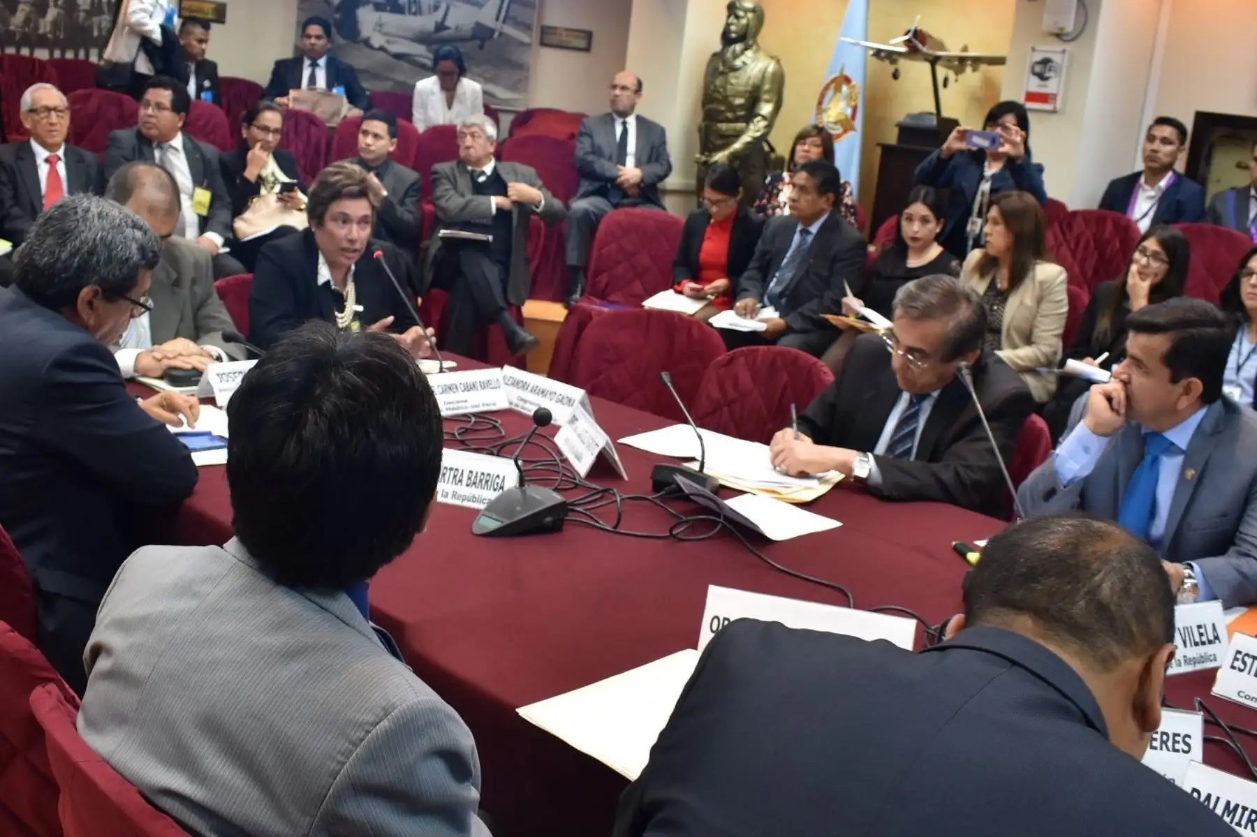 Decana del Colegio Médico del Perú, Liliana Cabani, en la Comisión de Salud del Congreso Foto: Difusión