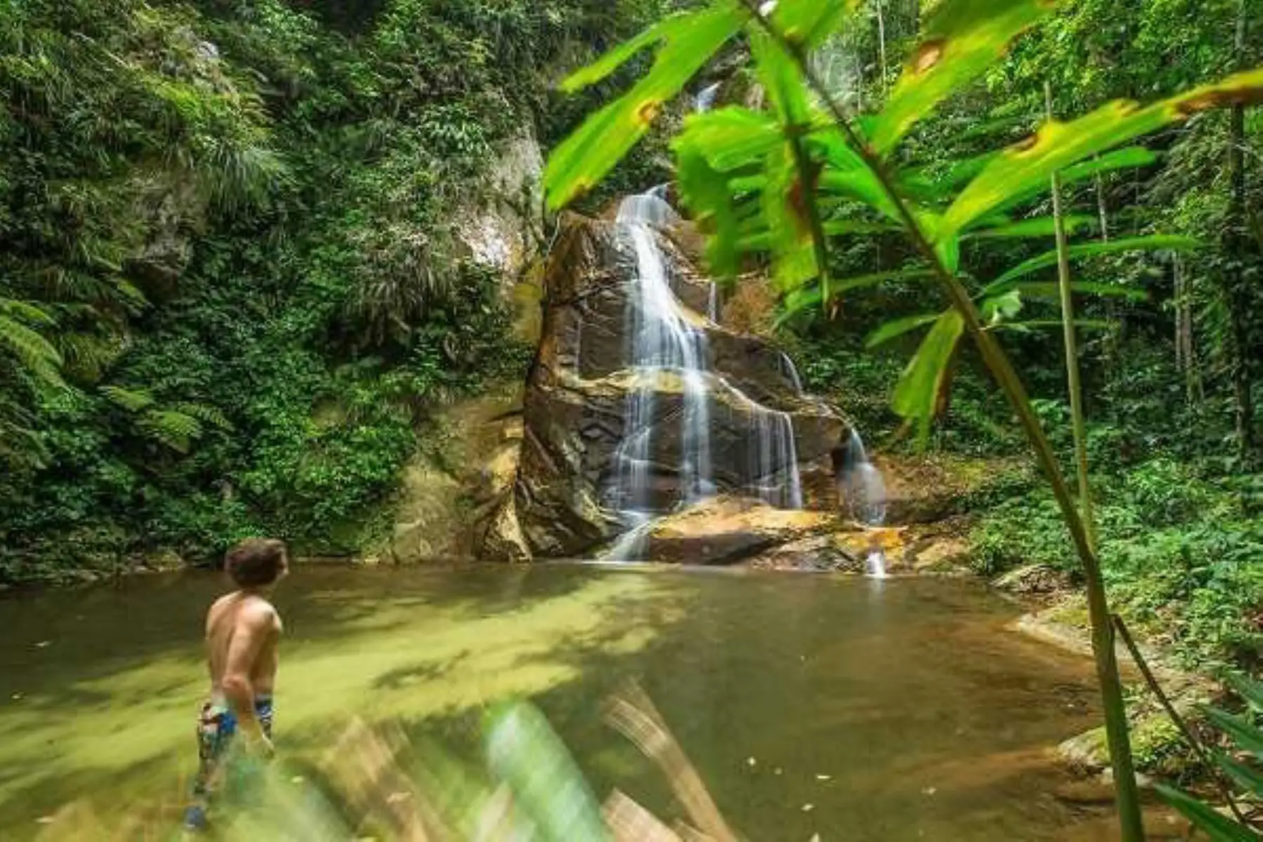 La presencia de turistas al área de conservación regional Cordillera Escalera, en la región San Martín, aumentó en 61%, lo que generó ingresos económicos de 3 millones 37,655 soles, informó el Proyecto Especial Huallaga Central y Bajo Mayo, que administra esta área natural protegida.