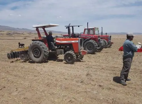 Puno: Minagri sembrará 8,140 hectáreas de pastos a favor de pequeños ganaderos. ANDINA/Difusión