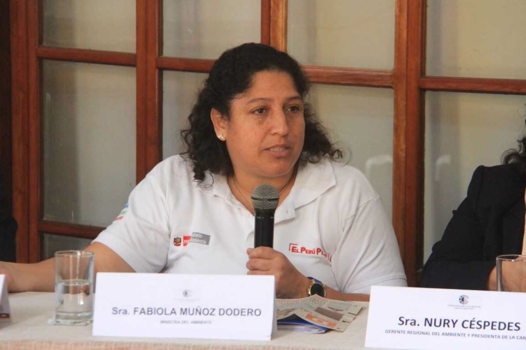 Ministra del Ambiente, Fabiola Muñoz, afirmó que estudios de impacto ambiental se realizan con criterio técnico y objetivo. ANDINA/Difusión