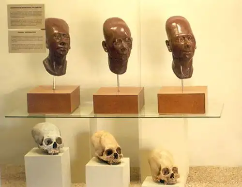El Museo de Sitio Julio C. Tello ha sido distinguido como el mejor nuevo museo de Latinoamérica por los Leading Culture Destinations Awards 2018. Conserva en su interior el legado de la milenaria civilización Paracas, una de las más extraordinarias culturas prehispánicas surgida en territorio peruano.