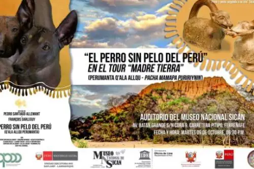 En el Museo Nacional Sicán, ubicado en la región Lambayeque, proyectarán el filme "El perro sin pelo del Perú".
