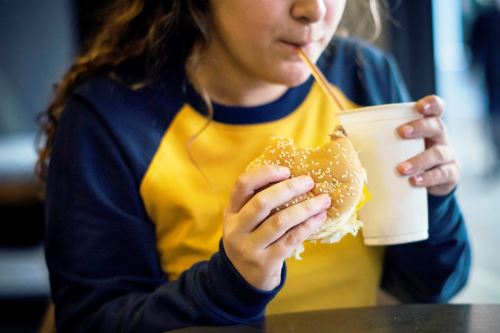 Niños obesos podrían sufrir problemas cardiovasculares en el futuro. Foto: ANDINA/Difusión.