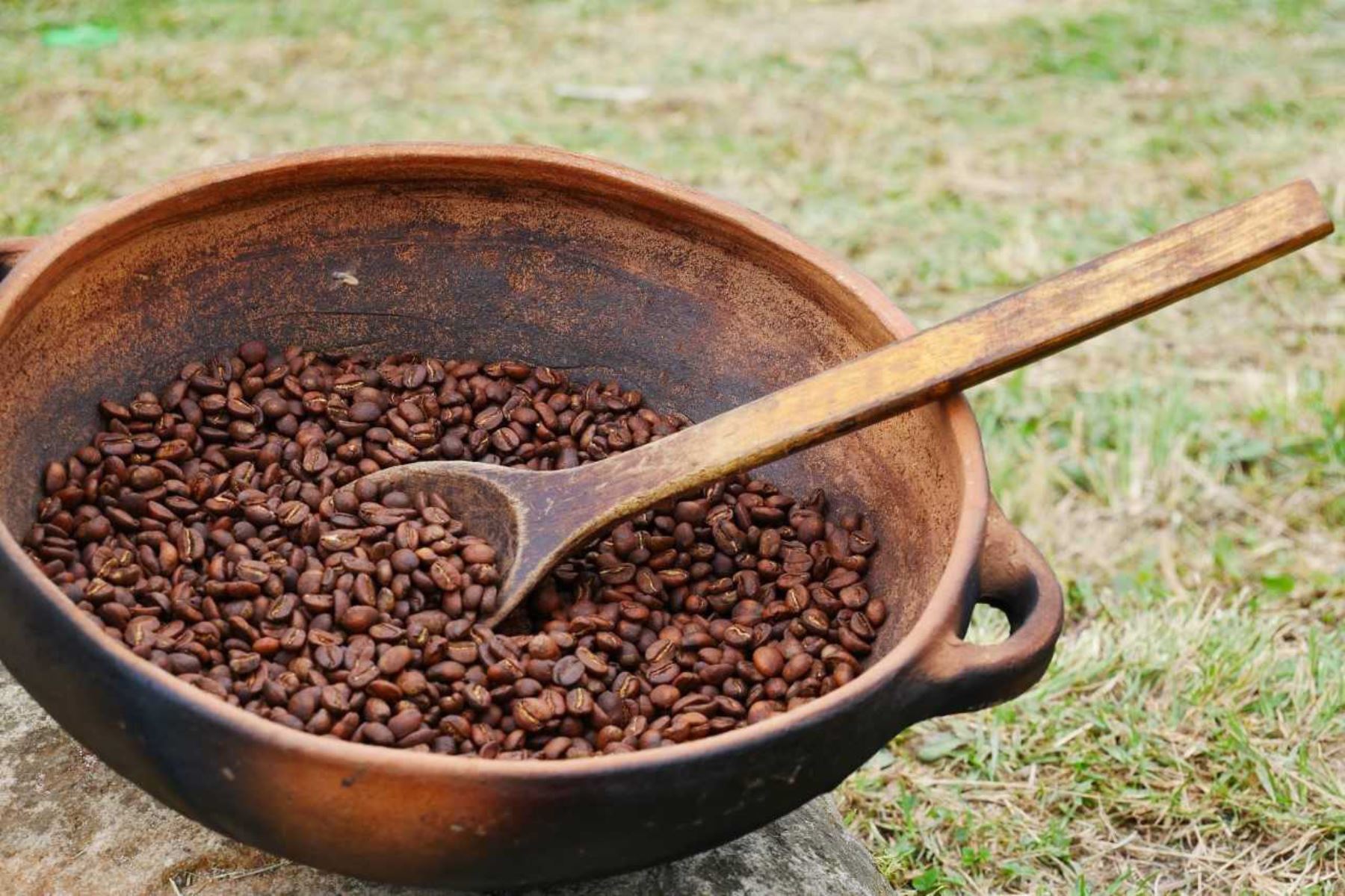 on la realización de un original concurso de tostado artesanal se busca promover el consumo interno del café sostenible que se cultiva en el Bosque de Protección Alto Mayo, ubicado en la región San Martín, informó el Servicio Nacional de Áreas Naturales Protegidas por el Estado (Sernanp).