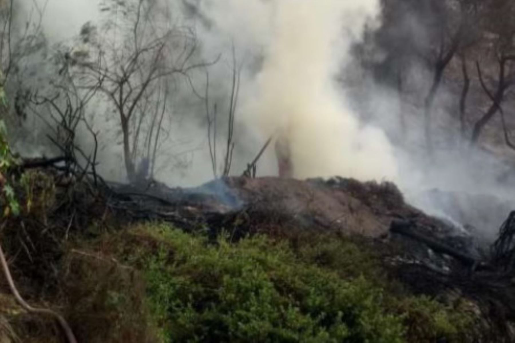 Autoridades descartan daños personales por incendios forestales registrados en distritos de Lima y Apurímac.