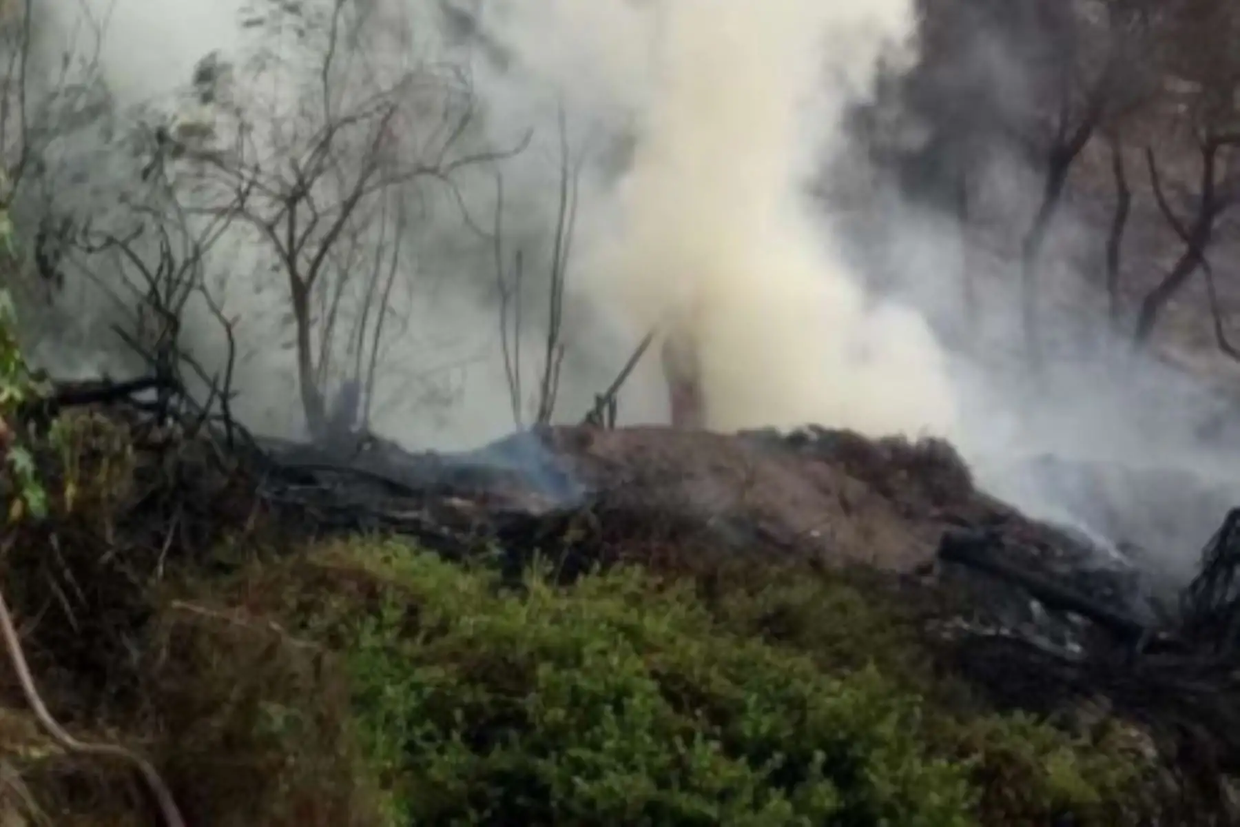 Autoridades descartan daños personales por incendios forestales registrados en distritos de Lima y Apurímac.