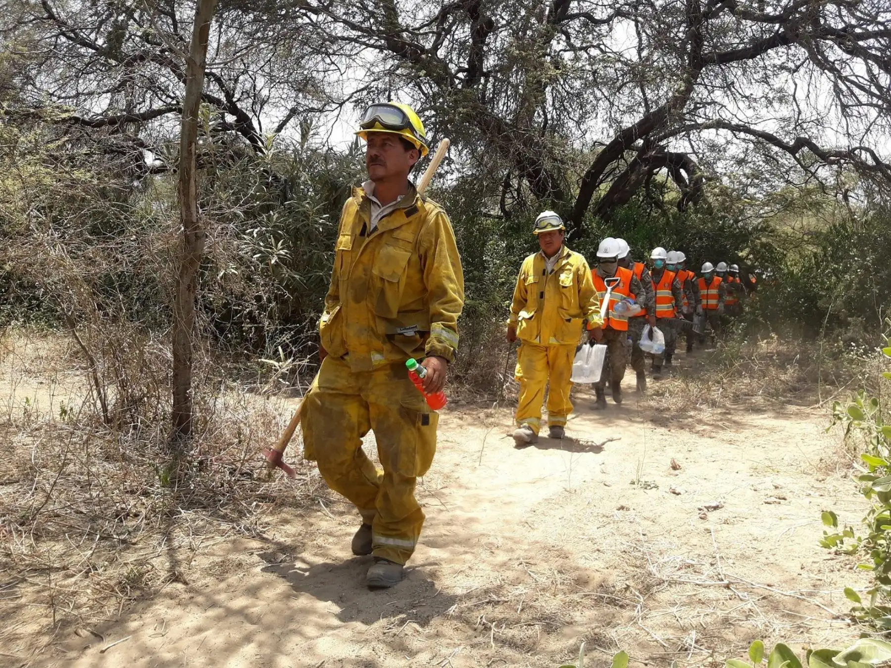 En el control del incendio forestal en el Santuario Histórico Bosque de Pómac participaron guardaparques bomberos forestales del Sernanp, brigadistas comunales, miembros del Ejército y de la Policía Nacional, bomberos.