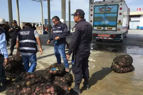 Decomisan 880 kilos de conchas de abanico en Piura.