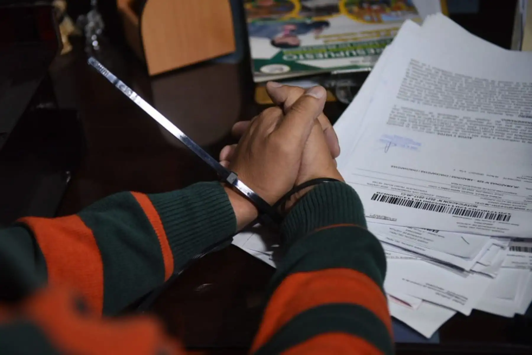 La Policía Nacional y el Ministerio Público desarticularon hoy, en la región Amazonas, la organización criminal “Los ilegales de Amazonas”, dedicada a cometer delitos como usurpación agravada y falsificación de documentos, y de la que forma parte un alcalde distrital y otros funcionarios públicos, informó el Ministerio del Interior.