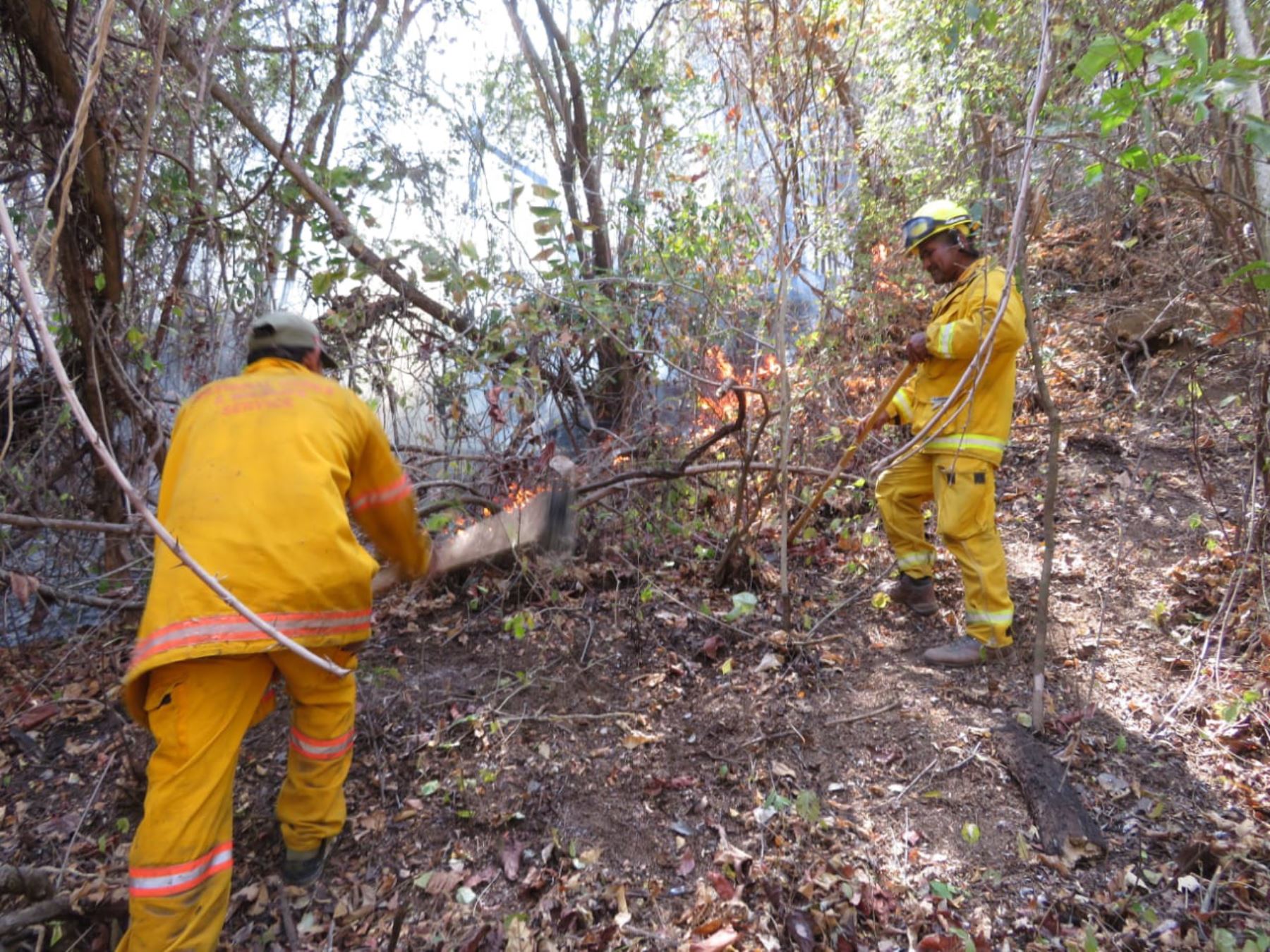 Personal de cuatro áreas naturales protegidas controló el incendio forestal desatado en la Reserva Nacional de Tumbes desde hace nueve días.