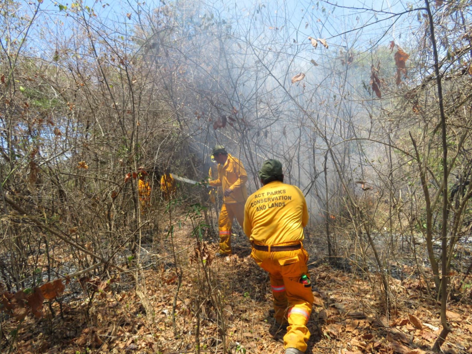 Bomberos forestales trabajan en el control y liquidación de incendios forestales en el Santuario Nacional de Ampay, en Apurímac; y en el Parque Nacional Cerros de Amotape, en Tumbes. Foto: ANDINA/Difusión.