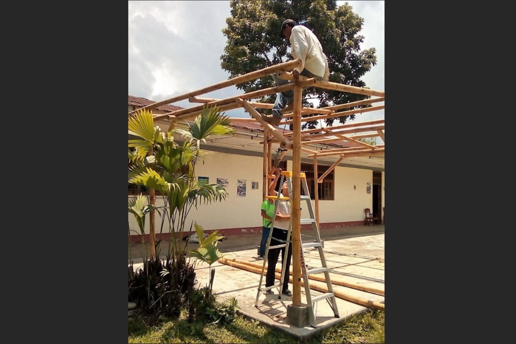 San Martín promueve uso del bambú para construir módulos de exposición en ferias. ANDINA