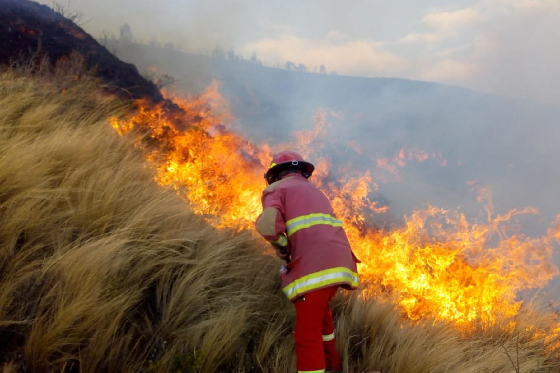 "Los incendios forestales son un problema latente que afecta sustancialmente a los ecosistemas", señala el Serfor. ANDINA/Difusión