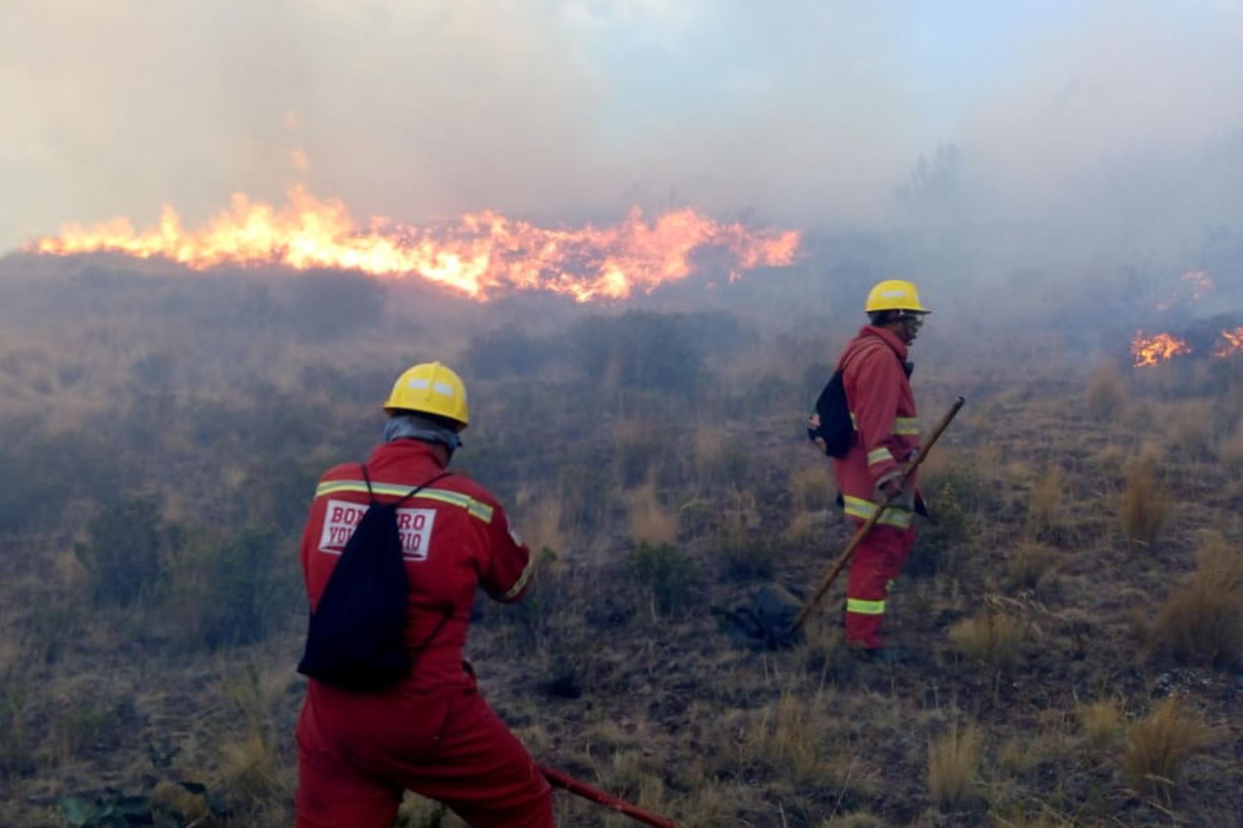 Luego de casi nueve horas de arduo combate contra el fuego, fue extinguido el incendio forestal ocurrido en el sector de Pumamarca, del distrito de San Sebastián, en la región Cusco, informó el Instituto Nacional de Defensa Civil (Indeci).