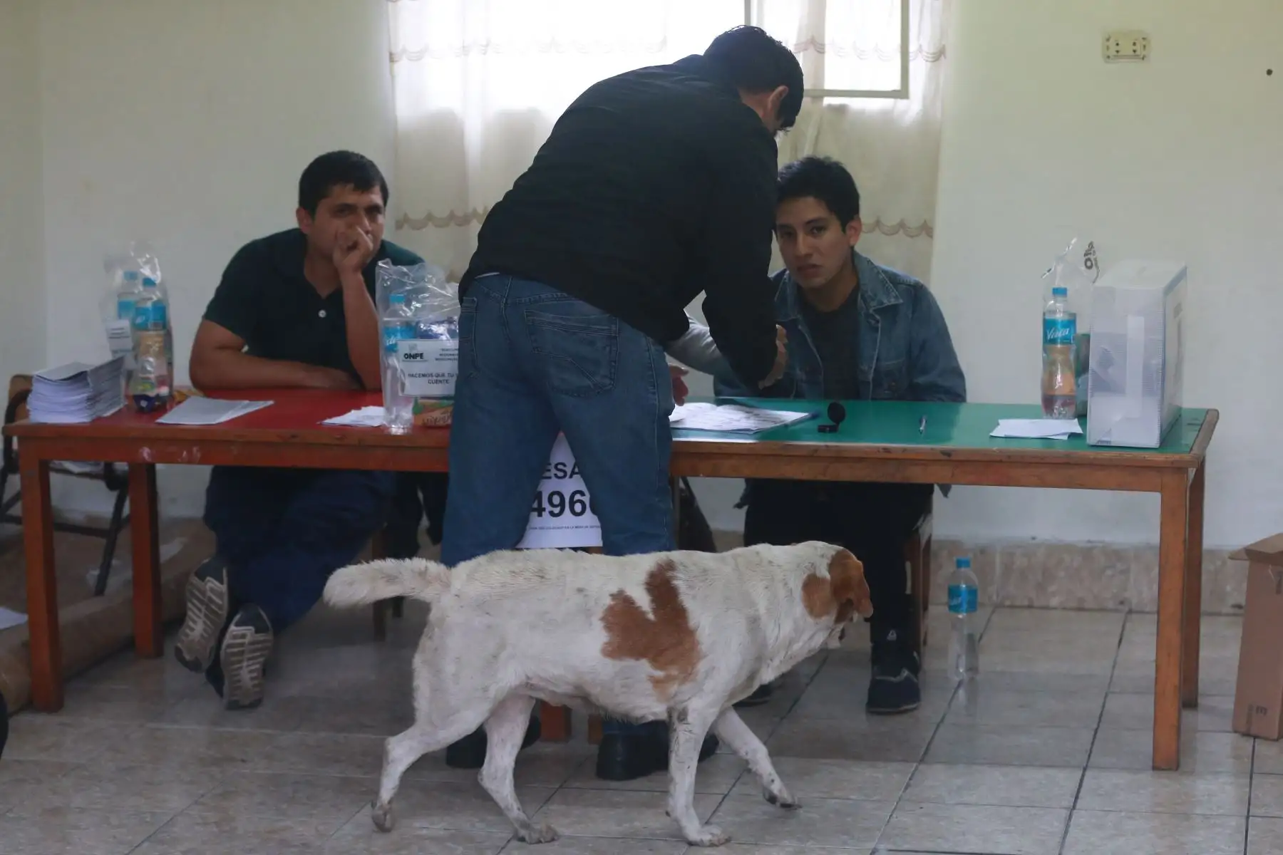 Elecciones municipales y regionales que se desarrolla en Tahuantinsuyo- independencia. Foto: ANDINA/Vidal Tarqui
