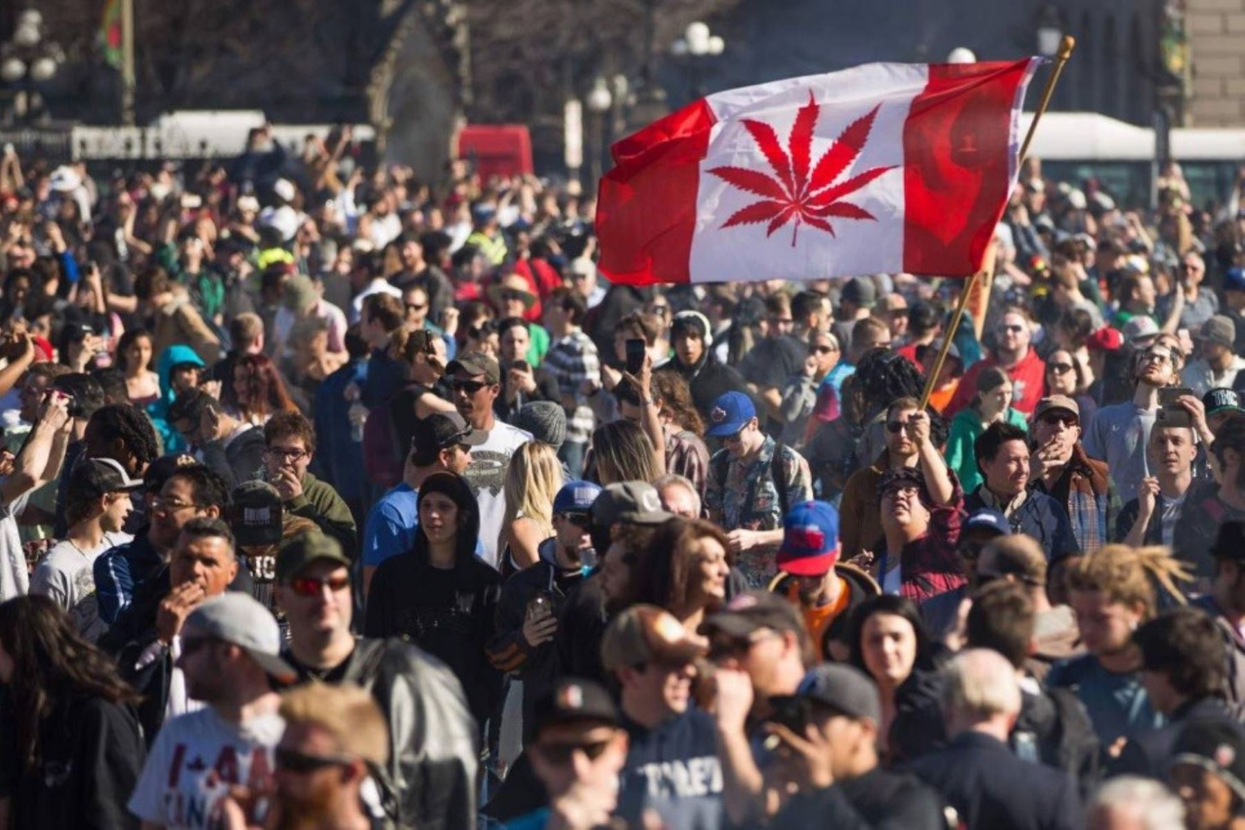 Manifestación por la legalización de la marihuana en Canadá. Foto: Chris Roussakis- AFP.